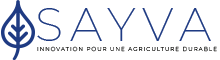 Sayva